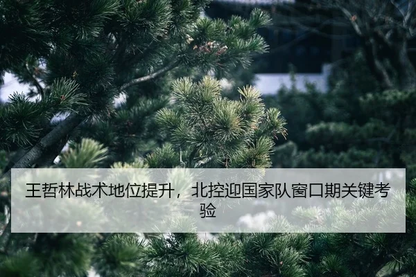wang-zhe-lin-zhan-shu-di-wei-ti-sheng-bei-kong-ying-guo-jia-dui-chuang-kou-qi-guan-jian-kao-yan-2-664.jpg