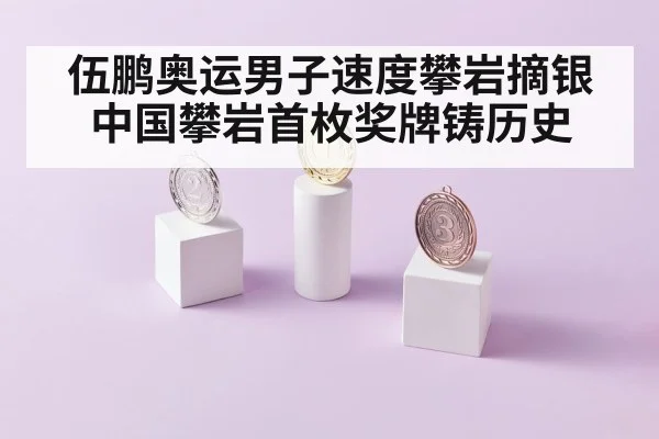 伍鹏奥运男子速度攀岩摘银 中国攀岩首枚奖牌铸历史
